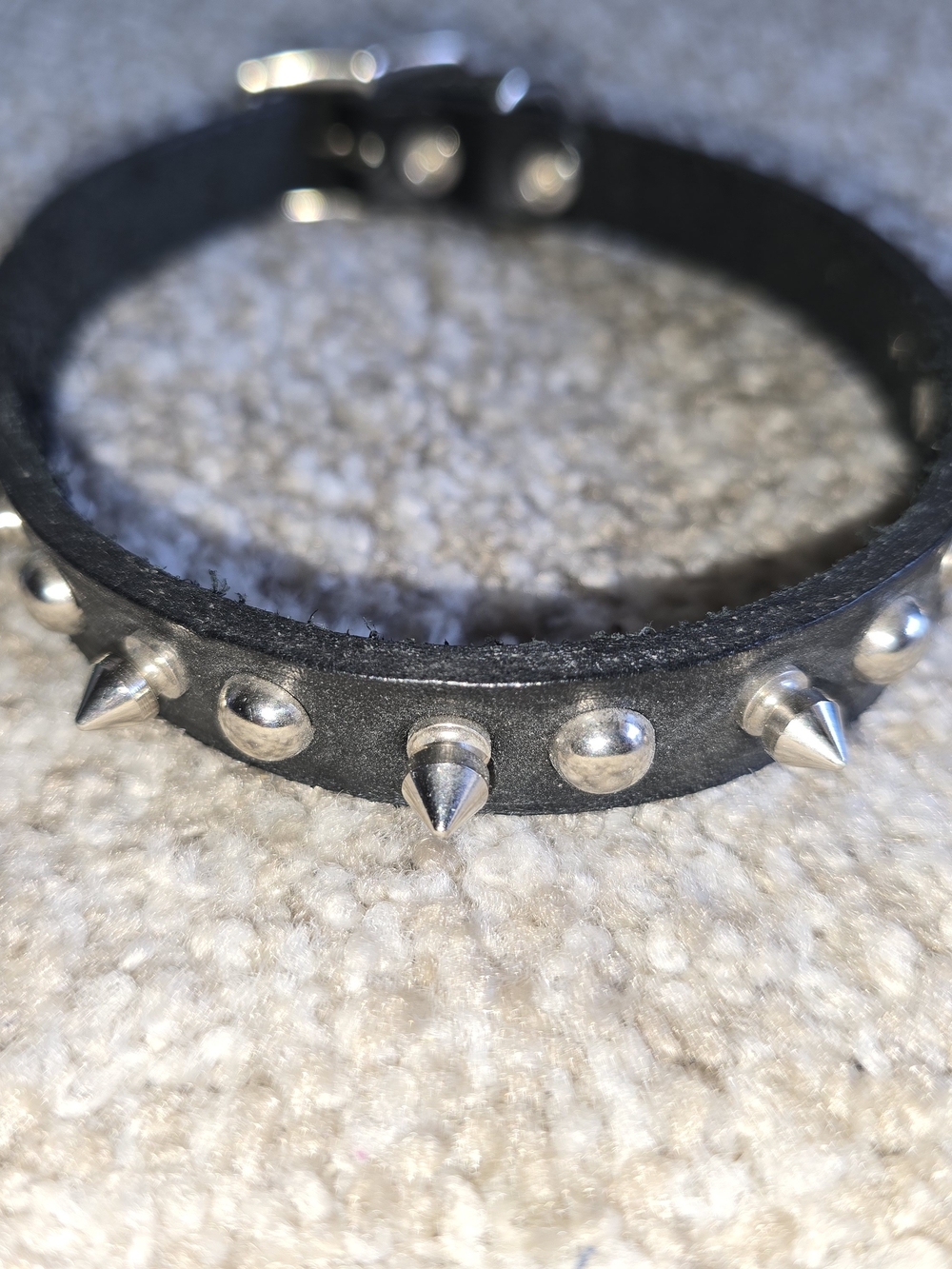 Black Spike Small Dog Collar